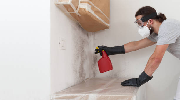 Professional Basement Mold Removal technician working in Wyckoff, NJ