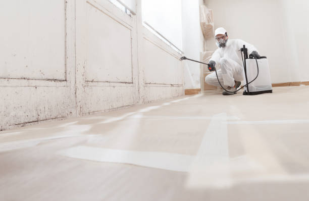 24/7 Emergency Basement Mold Removal experts in Wyckoff, NJ