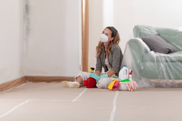 Reliable Basement Mold Removal contractor in Wyckoff, NJ by WQB Mold Removal